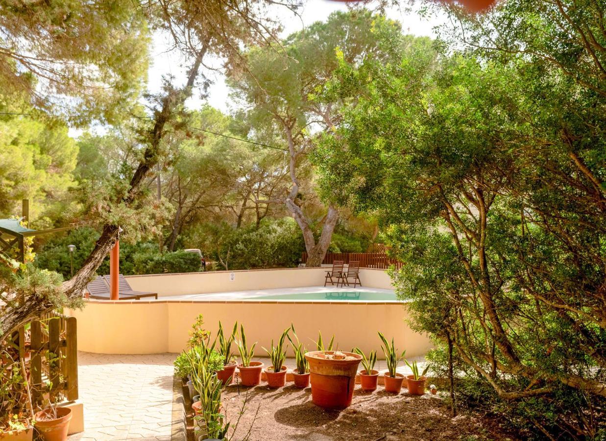 Apartamentos El Pino - Formentera Break Ес-Кало Екстер'єр фото